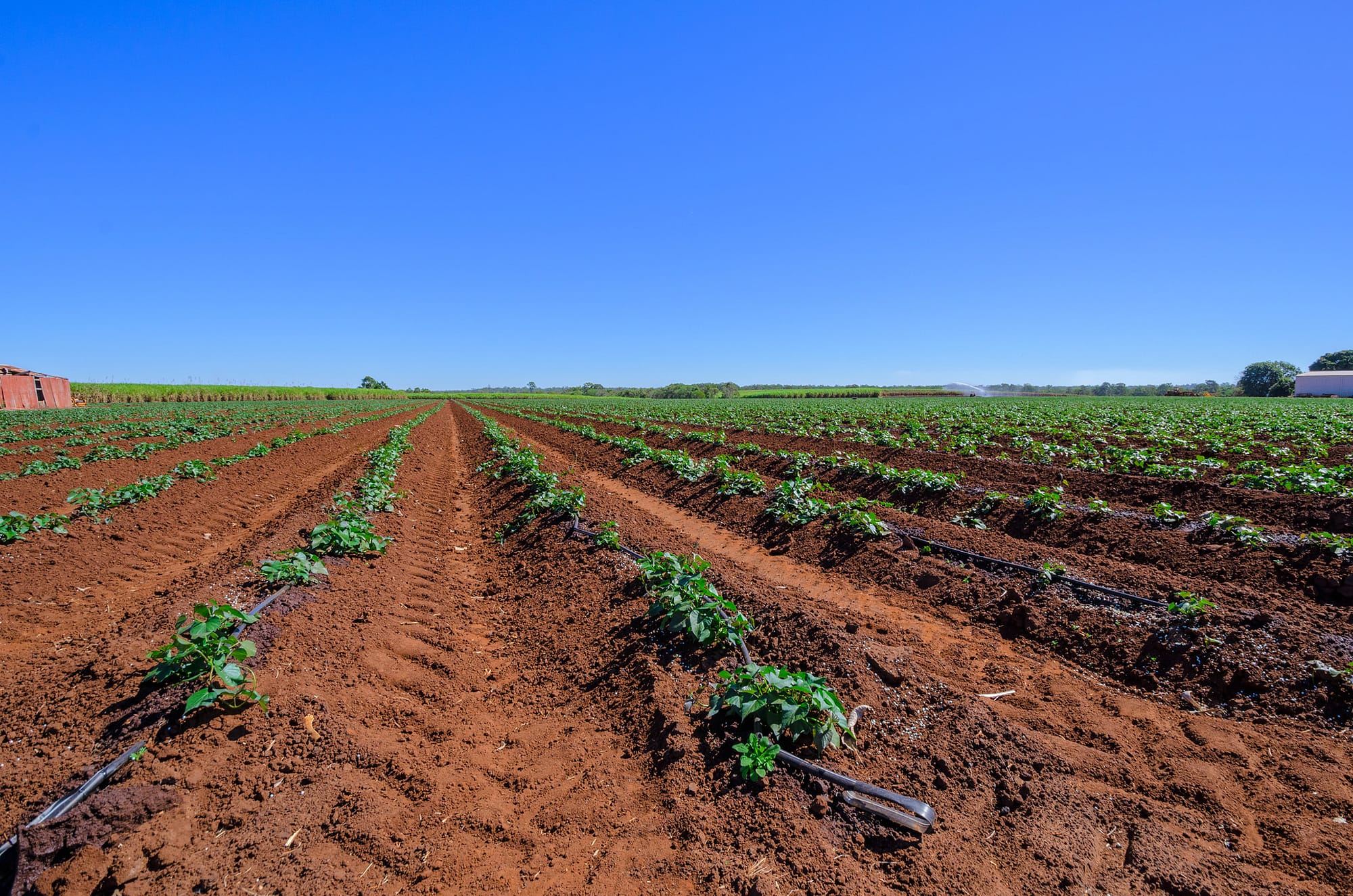 Goodwood Road Backpacker Hostel Bundaberg Comes as